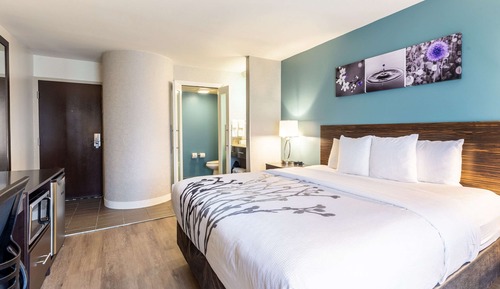 Room, 1 King Bed, Non Smoking