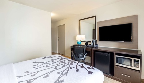 Room, 1 Queen Bed, Accessible, Non Smoking