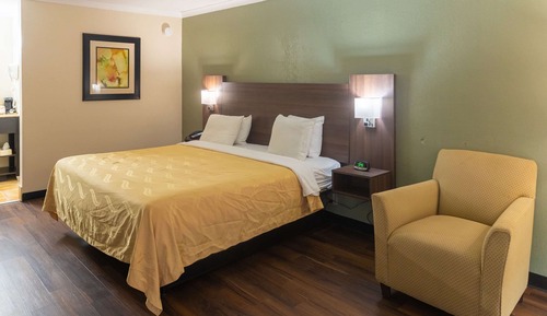 Standard Room, 1 King Bed, Non Smoking