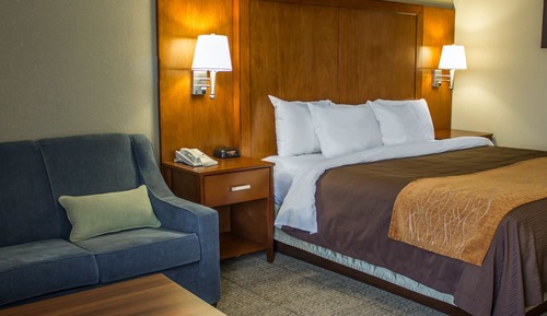 Standard Room, 1 King Bed with Sofa bed, Non Smoking
