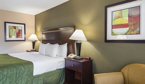 Room, 1 King Bed, Accessible, Smoking
