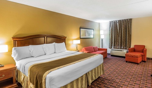 Suite, 1 King Bed, Refrigerator & Microwave