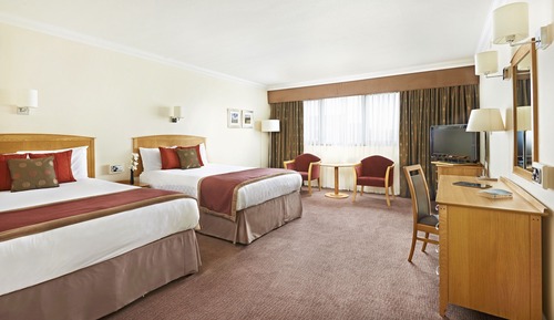 Standard Quadruple Room, 2 Double Beds