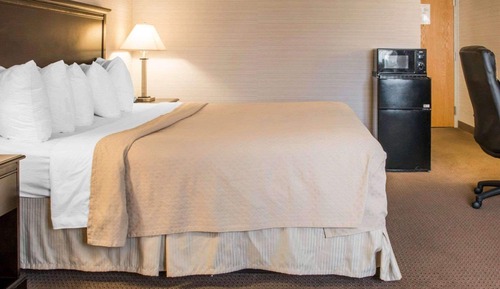 Room, 1 King Bed, Accessible, Non Smoking (Roll-In Shower)