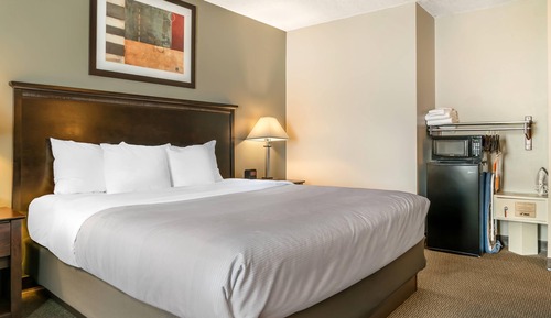Room, 1 Queen Bed with Sofa bed, Accessible, Non Smoking (Roll-In Shower)