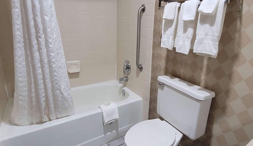 Room, 1 King Bed, Accessible, Non Smoking