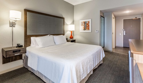 Room, 1 King Bed, Accessible, Non Smoking (Mobility & Hearing, Roll-in Shower)