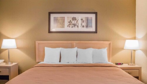 Room, 1 King Bed, Accessible, Non Smoking