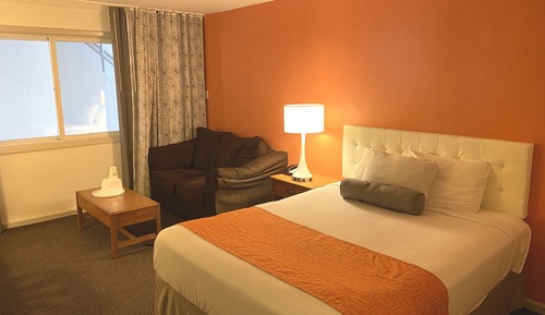 Single Bed with Couch - 1 Queen Bed