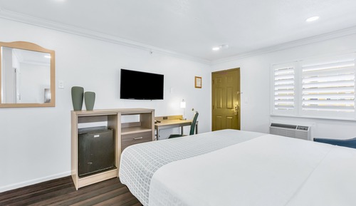 Room, 1 King Bed
