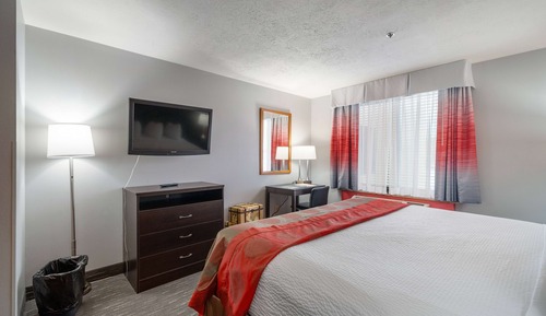 Suite, 1 King Bed, Non Smoking (One-Bedroom)