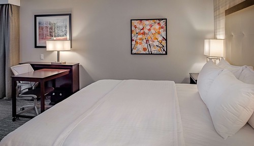 Deluxe Studio, 1 King Bed, Non Smoking