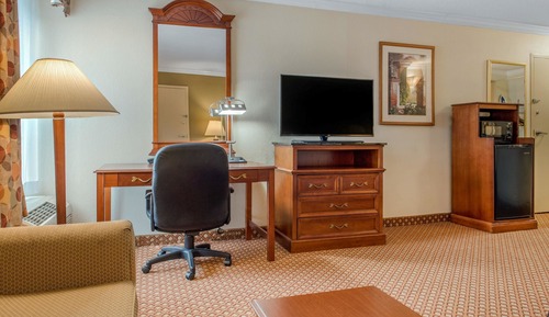 Room, 1 King Bed with Sofa bed, Non Smoking