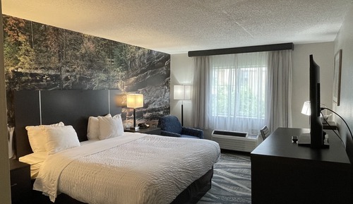 Standard Room, 1 Queen Bed