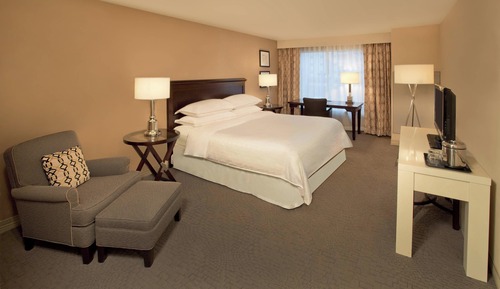 Room, 1 King Bed, Non Smoking