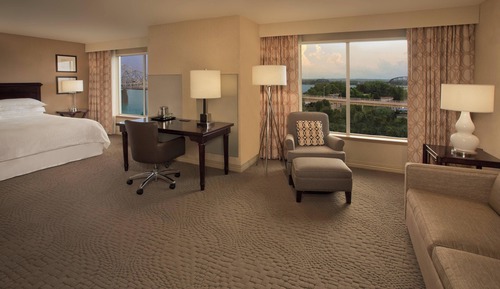 Room, 1 King Bed with Sofa bed (Mobility Accessible, Roll-In Shower)