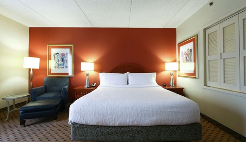 Room, 1 King Bed