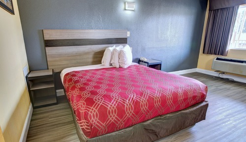 Standard Room, 1 King Bed, Non Smoking