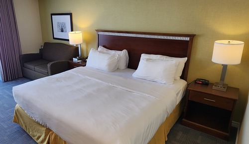 Standard 1 King Bed, Non Smoking (Pet Friendly)