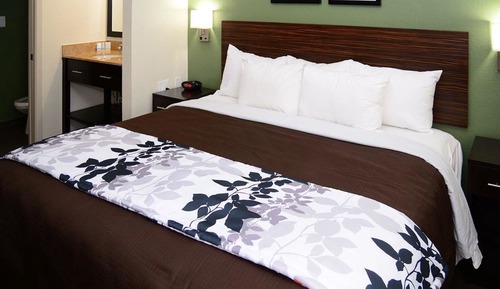 Standard Room, 1 King Bed, Non Smoking