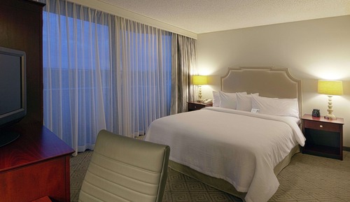 Presidential Suite, 1 King Bed with Sofa bed, Non Smoking