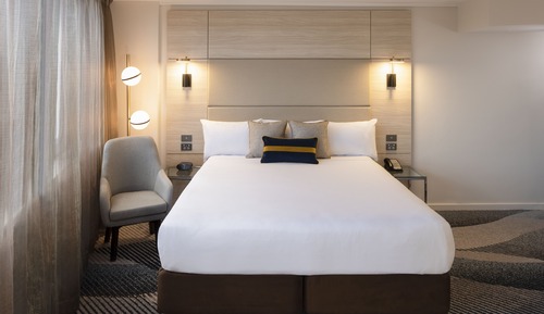 Executive Suite, 1 King Bed