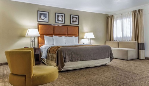 Suite, 1 King Bed, Non Smoking