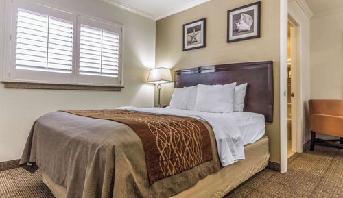 Room, 1 Queen Bed, Non Smoking