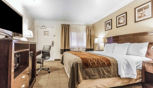 Standard Room, 1 King Bed, Non Smoking