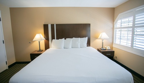 Room, 1 King Bed