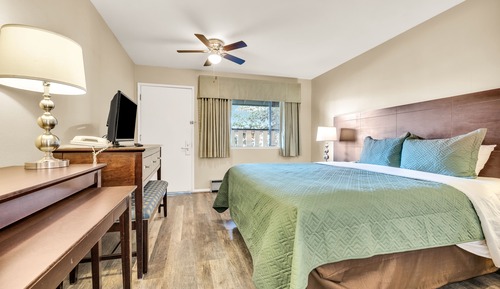 Standard Room, 1 King Bed