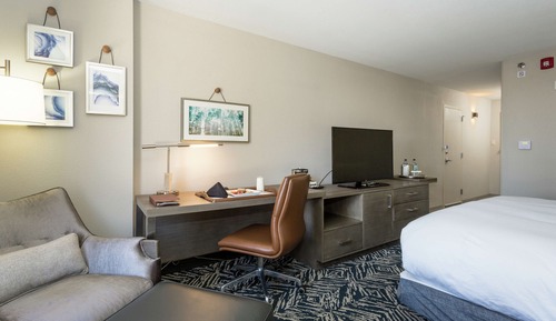 Room, 1 King Bed, Accessible, Bathtub