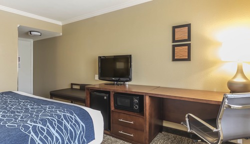 Standard Room, 1 King Bed, Non Smoking