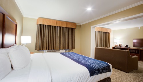 Premier Suite,1 King Bed, Non Smoking