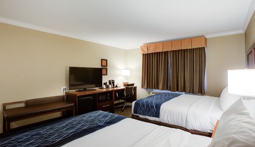 Deluxe Room, Two Queens, Non Smoking
