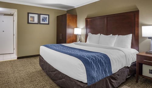 Deluxe Room, 1 King Bed with Whirlpool, Non Smoking
