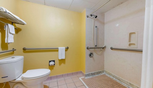 Suite, 1 King Bed, Accessible, Non Smoking