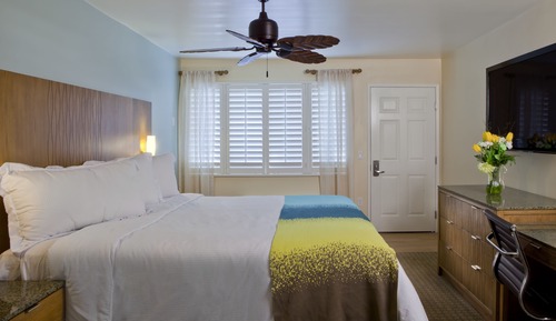 Room, 1 King Bed