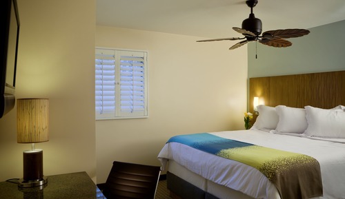 Room, 1 Queen Bed