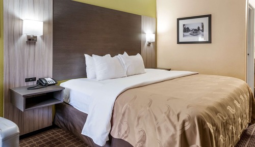 Standard Room, 1 King Bed, Non Smoking