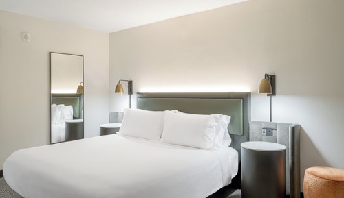 Standard Room, 1 King Bed, Mobility Accessible, Non Smoking (Comm, Mobil, Access Tub)