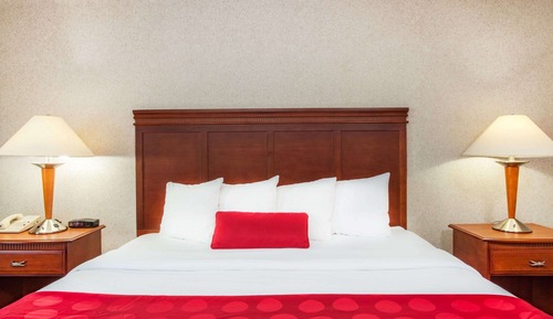 Room, 1 King Bed, Accessible, Non Smoking (Mobility, Bathtub w/Grab Rails)