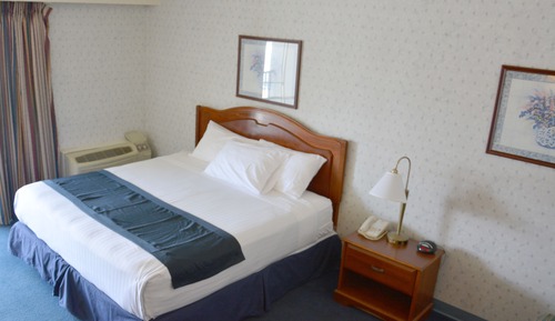 Room, 1 King Bed, Non Smoking (Pet-Friendly)