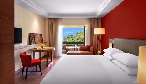 Club Room, 1 King Bed