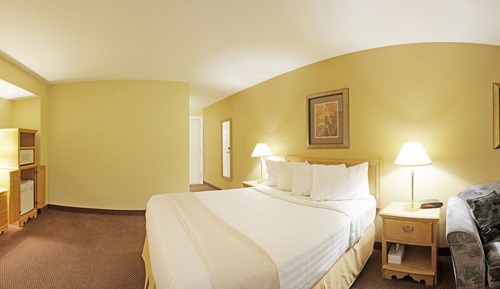 Standard Room, 1 King Bed, Non Smoking