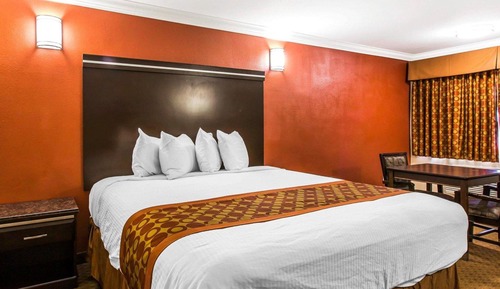 Standard Room, 1 King Bed, Non Smoking
