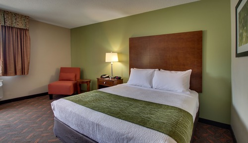 Room, 1 King Bed, Non Smoking