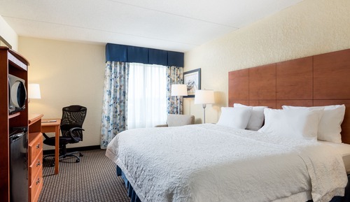 Room, 1 King Bed, Non Smoking