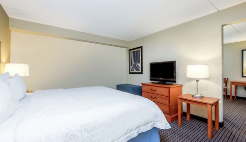 Suite, 1 King Bed, Accessible, Non Smoking