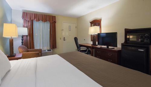 Standard Room, 1 King Bed, Non Smoking, Refrigerator & Microwave (Pet Friendly)
